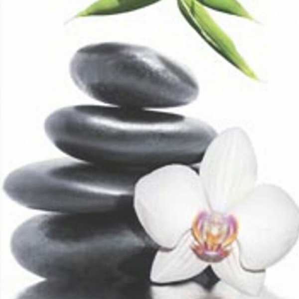 Schiebevorhang Dessin Shakti Fb. 80, 60x245 cm, kürzbar