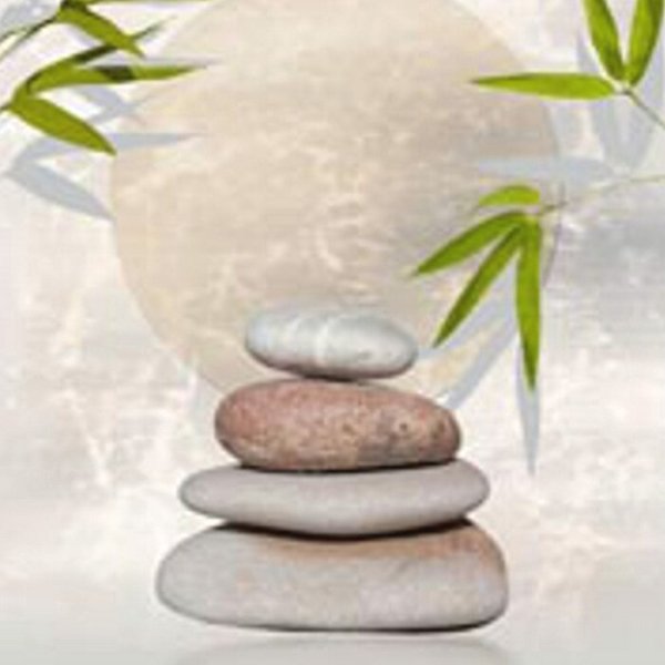 Schiebevorhang Dessin Caralina Fb. 20, 60x245 cm, kürzbar