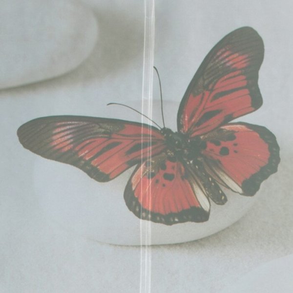 Raffrollo Dessin Alma Fb. 20