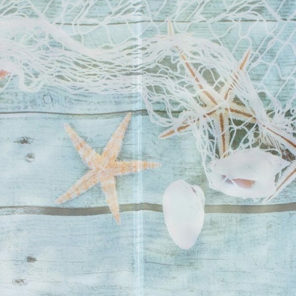 Raffrollo Dessin Seestern Fb. 40