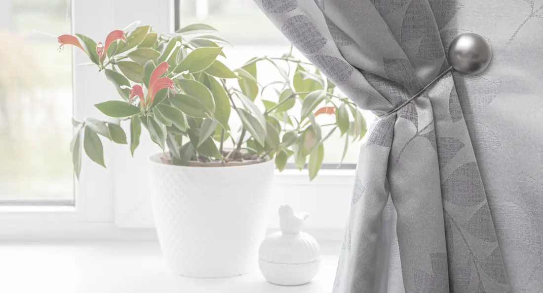 Accessoires rund ums Fenster